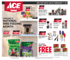 February sales flyer at Ace hardware Fort Collins