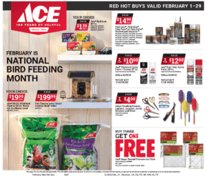 February sales flyer at Ace hardware Fort Collins