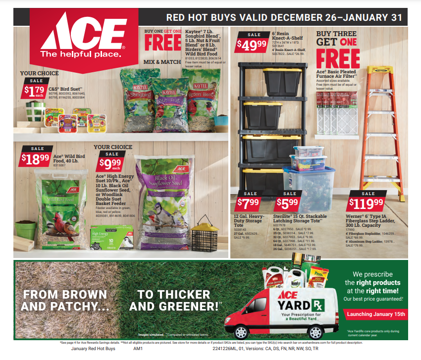 Ace 2025 January Red Hot Buys Flyer