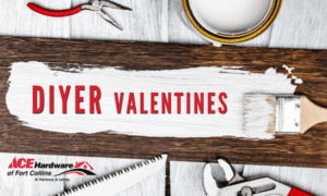 DIYer Valentines