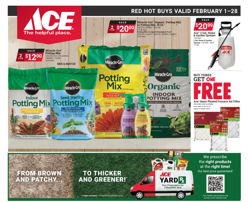 Ace 2025 February Red Hot Buys Flyer