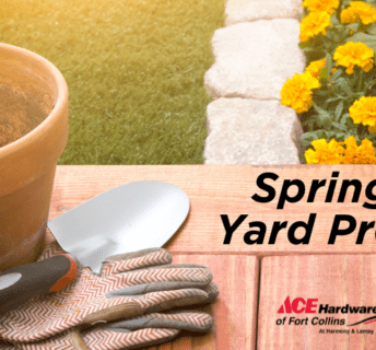 Spring Yard Prep