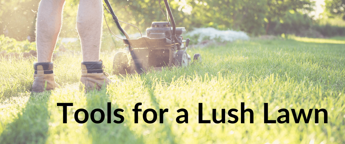 Man Mowing Yard - Best Lawn Tools