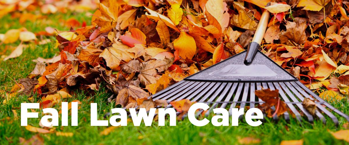 Slider Image - Fall Lawn Care