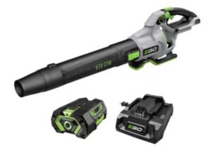 Blog - Fall Lawn Care Image 2