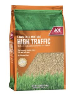 Blog - Fall Lawn Care Image 3