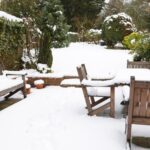 Blog - Winterizing Lawn Tools