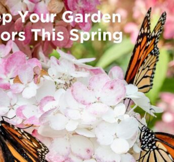 How to prep your garden for spring pollinators