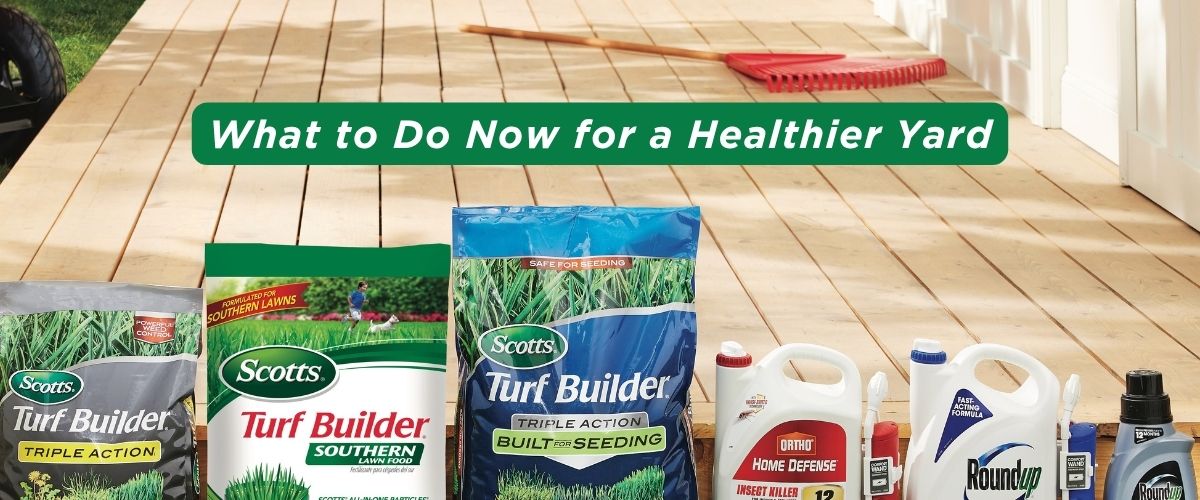 Lawn Basics Slider 2