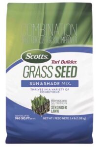 Lawn Basics Blog